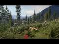 Hunter: Call of the Wild - North America - part 1