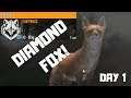 Hunting Day 1 Diamond Fox!