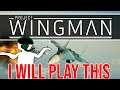 I Will Be Playing Project Wingman