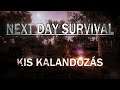 Next Day Survival | Kis kalandozás!