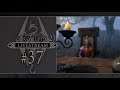 Pelataan Skyrim (2) - Livestream - Osa 37 [Pähkähullua]
