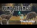PLNO JELENCŮ | THE HUNTER: CALL OF THE WILD #03