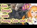[Funny Cat Video]Lets Laugh with Funny Cats and Me #18 オモロー猫ねこちゃん達と笑おうよ #18【猫動画】