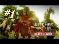 🗡THE WITCHER 3 WILD HUNT : BLOOD AND WINE #1 TOUISSANT O PAÍS DO VINHO E DO AMOR.(PS4)