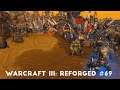 To Tame A Land | Let's Play Warcraft III: Reforged #69