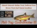 Fishing Planet - Fish Tag Coordinates III - Historic Trouts And Canoe Location
