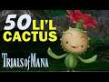 Location of 50 Li'l Cactus in Trials of Mana (All Lil Cactus Location Guide)
