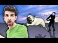 PROJECT ZORGO DOG has me HIDING in ABANDONED JUNKYARD (Winter Mountain Riddles Recap Decoder Wheel)