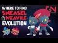 Where to find Sneasel & How to Evolve Into Weavile - Pokemon Sword and Shield Evolution