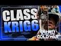 Call of Duty: Black Ops Cold War Alpha KRIG 6 Class Setup Kill Confirmed Gameplay PS4