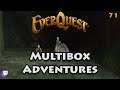 Everquest Live! - Multibox Adventures - 71 - Into The Hills