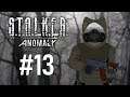 Fidchell streams STALKER Anomaly 1.5.1 - Part 13: HELPING OUT NOAH