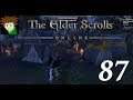 Zwei Idioten spielen The Elder Scrolls Online Ep.87 - Schlachtet sie ab!