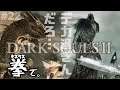#22【ダークソウル Ⅱ】巨人の王 vs 拳の王【DARK SOULS Ⅱ】