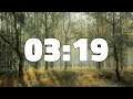 3 MINUTES 19 SECONDS TIMER COUNTDOWN [199 seconds - 3:19]
