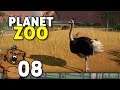 Dois animais no mesmo habitat?! | Planet Zoo #08 - Gameplay PT-BR