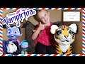 I Mailed Myself in a Box to Vampirina from Disney Junior with FurReal Tiger! OMG IT WORKED!! (Skit)