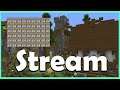 Lördags Stream : Scaffolding