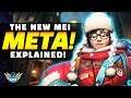 Overwatch - NEW Mei Meta Explained! - How Pros OWN With Mei!