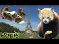 Paris France (Things To Do, Places To Eat & Drink)