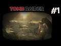 Tomb Raider | #1 | Lonely and scared...