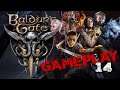 Why is there an Underground Cult? - Baldur's Gate 3 Early Access Playthrough - Episode 14