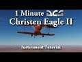 1 Minute DCS - Christen Eagle II - Instrument Tutorial