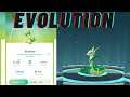 Evolution of servine into serperior |Pokémon GO |#shorts #shortvideo #ANYTHINGMAKERS