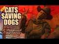 Fallout 4 Bleachers - DOG FIGHTING ARENA - Atom Cats Save Dogs Quest - Epic Mod