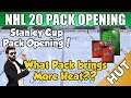 Huge Pulls In A Stanley Cup Pack Opening! - NHL 20 HUT - Hockey Ultimate Team - Playoff Packs