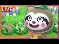 Island Tidying | Animal Crossing New Horizons LIVE