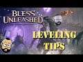 Leveling to 19 and Beyond in Bless Unleashed