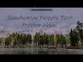 Skyrim Se - Scandinavian Forests Test Preview