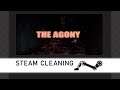 Steam Cleaning - The Agony