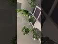 The Leaves Make Noises Upon Touching/Pulling Them - Philadelphia Wonderspaces