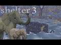 The Weave of Ancient Nests & Memories... ๐ Shelter 3 โข #3