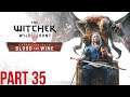 The Witcher 3: Wild Hunt Walkthrough Gameplay - Let's Play - Part 35 - Blood and Wine DLC