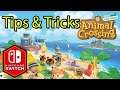 Animal Crossing New Horizons Tips & Tricks Guide for Starting Out, Tools, Inventory & More!