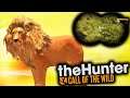 El Rey León | TheHunter Call of the Wild | MrLokazo86