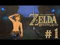 Ez Tries To Finish "The Legend of Zelda BOTW": Episode One
