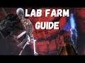 Guild Wars 2: Halloween Labyrinth Farm Guide | Tipps, Tricks & Builds