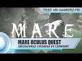 Mare Oculus quest test Français : Un voyage au pays de l'oiseau et l'enfant ! Gameplay VR FR