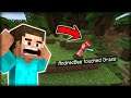 Minecraft But I Can't touch the Color GREEN.. (FACE REVEAL ANNOUNCEMENT)