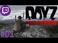Noob Survival | DayZ | From Twitch