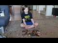 Unboxing MAGIC: THE GATHERING Trading Card Game (AMONKHET) #MTG