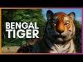 🦁 Bengal Tiger | Planet Zoo Update