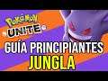 CÓMO JUGAR JUNGLA en POKÉMON UNITE | Conceptos Básicos