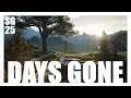 Days Gone - Gameplay FR 4K High Settings PC [ Sans Commentaire ] Ep25
