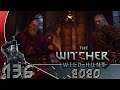 DER ANSCHLAG ⚔ [136] [MODS] THE WITCHER 3 GOTY [MODDED] 2020 Deutsch LETS PLAY