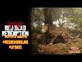 First Look @ Trapper Update - Casual's Red Dead Redemption! #BeMoreCasual #RedDeadOnline #Update